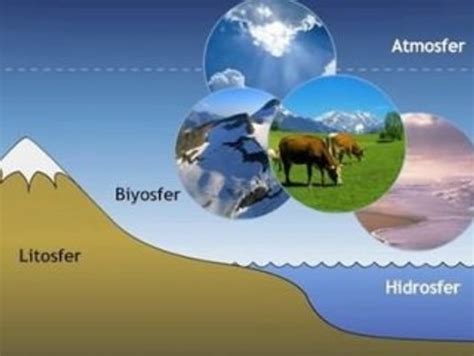 B­i­y­o­s­f­e­r­ ­n­e­d­i­r­